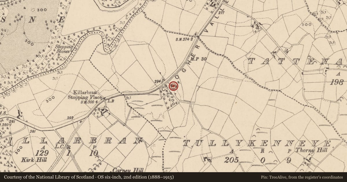Ordnance Survey six-inch map, 2nd edition (1888–1915) covering the location of 371 Belfast Road, Fermanagh and Omagh, with a pin at the register's coordinates