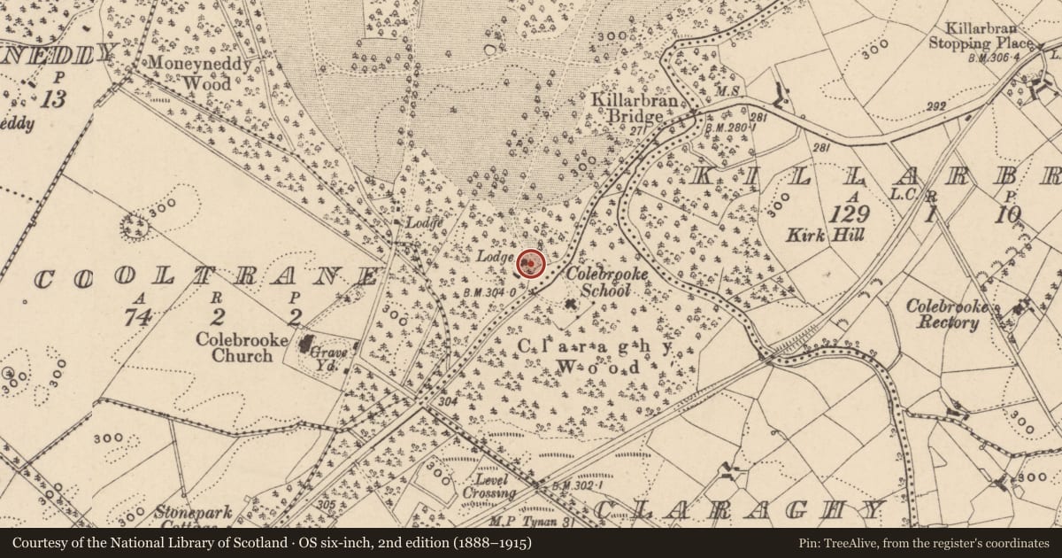 Ordnance Survey six-inch map, 2nd edition (1888–1915) covering the location of School Lodge, Fermanagh and Omagh, with a pin at the register's coordinates