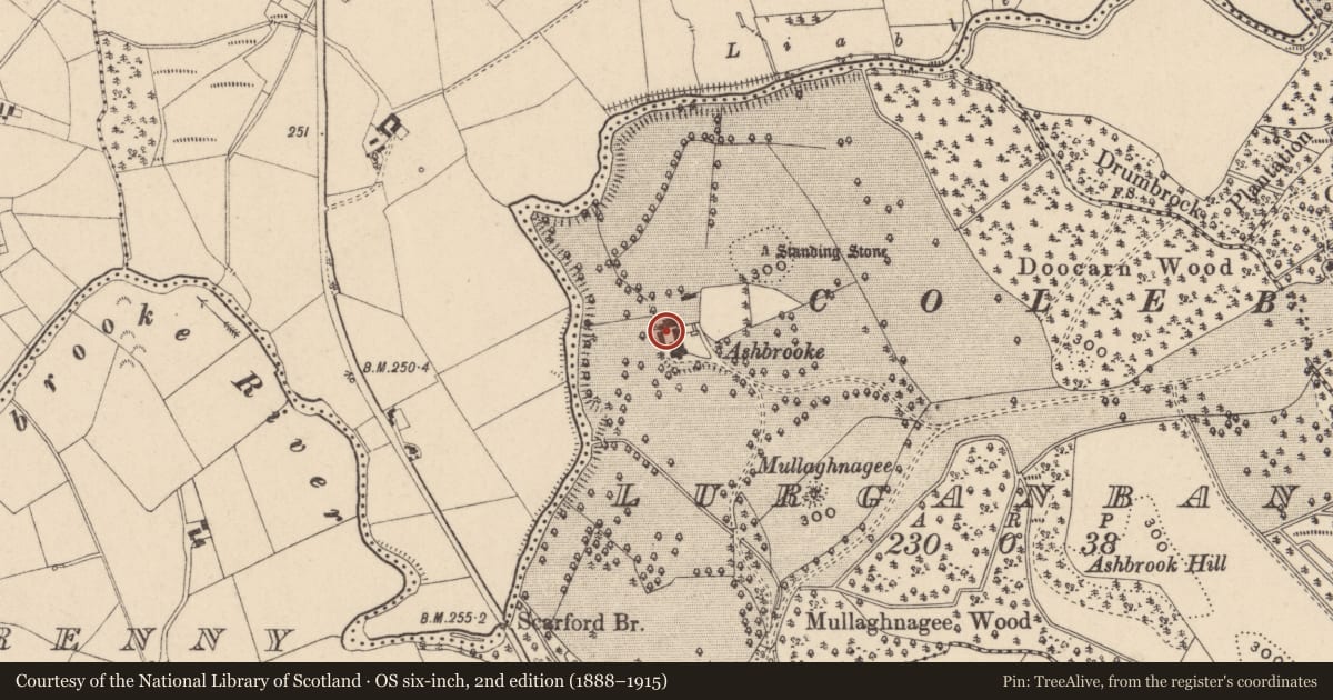 Ordnance Survey six-inch map, 2nd edition (1888–1915) covering the location of Ashbrooke House, Fermanagh and Omagh, with a pin at the register's coordinates