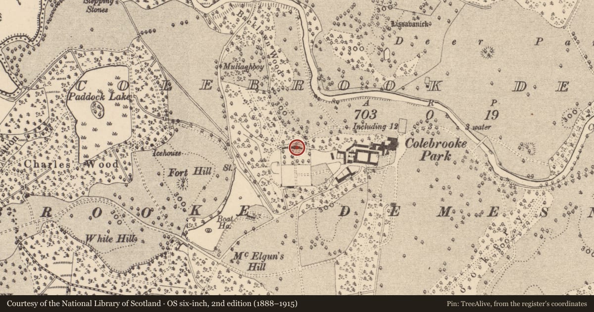 Ordnance Survey six-inch map, 2nd edition (1888–1915) covering the location of CONSERVATORY, Fermanagh and Omagh, with a pin at the register's coordinates