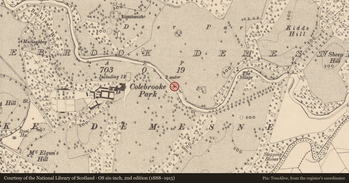 Ordnance Survey six-inch map, 2nd edition (1888–1915) covering the location of Park Bridge, Fermanagh and Omagh, with a pin at the register's coordinates