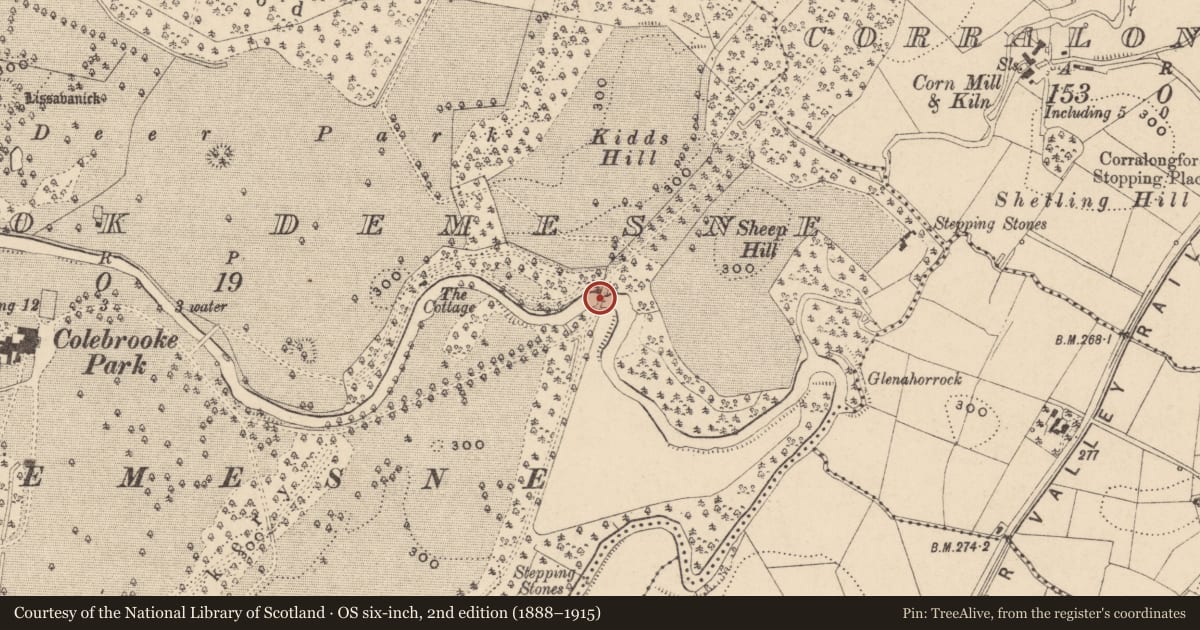 Ordnance Survey six-inch map, 2nd edition (1888–1915) covering the location of Bridge On Fivemiletown Drive, Fermanagh and Omagh, with a pin at the register's coordinates