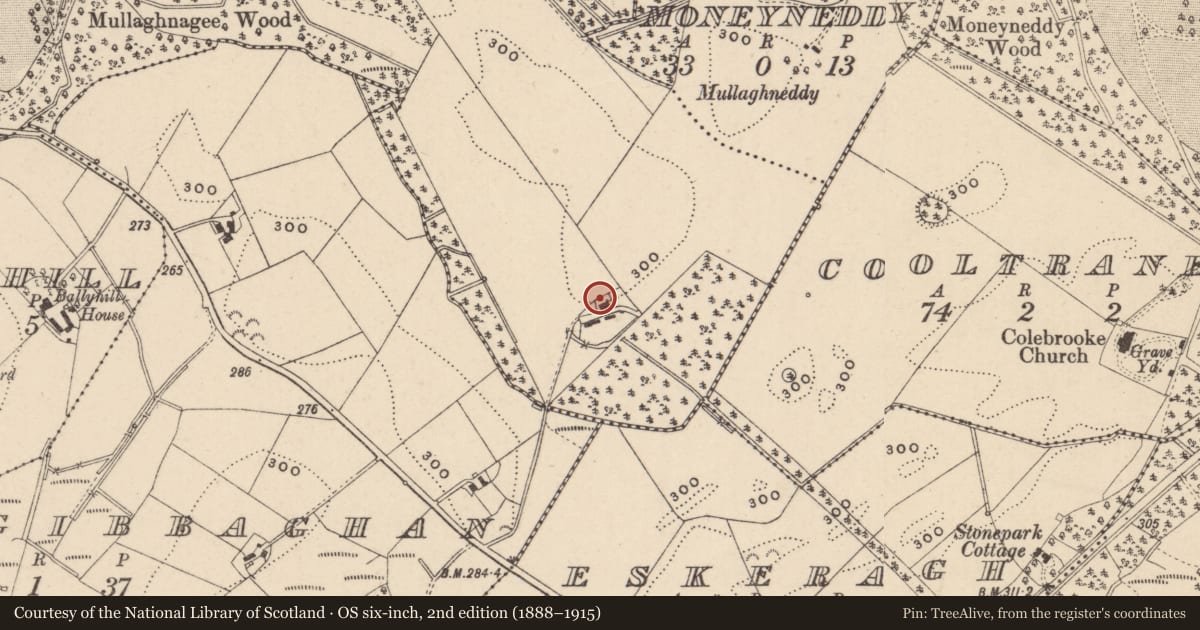 Ordnance Survey six-inch map, 2nd edition (1888–1915) covering the location of Two-Storey House, Fermanagh and Omagh, with a pin at the register's coordinates