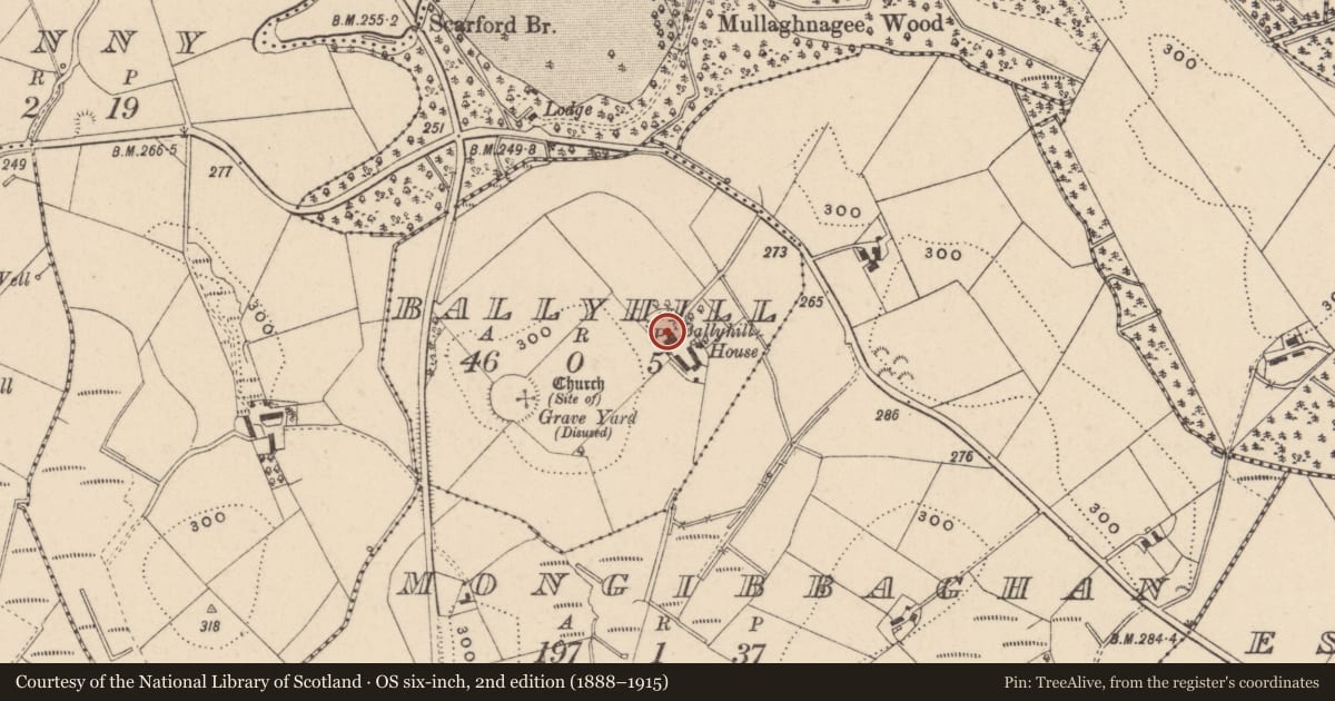 Ordnance Survey six-inch map, 2nd edition (1888–1915) covering the location of Ballyhill House, Fermanagh and Omagh, with a pin at the register's coordinates
