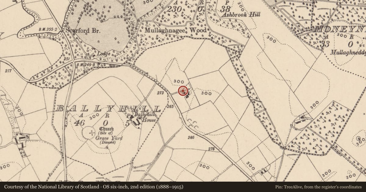 Ordnance Survey six-inch map, 2nd edition (1888–1915) covering the location of MOUNTGIBBON, Fermanagh and Omagh, with a pin at the register's coordinates