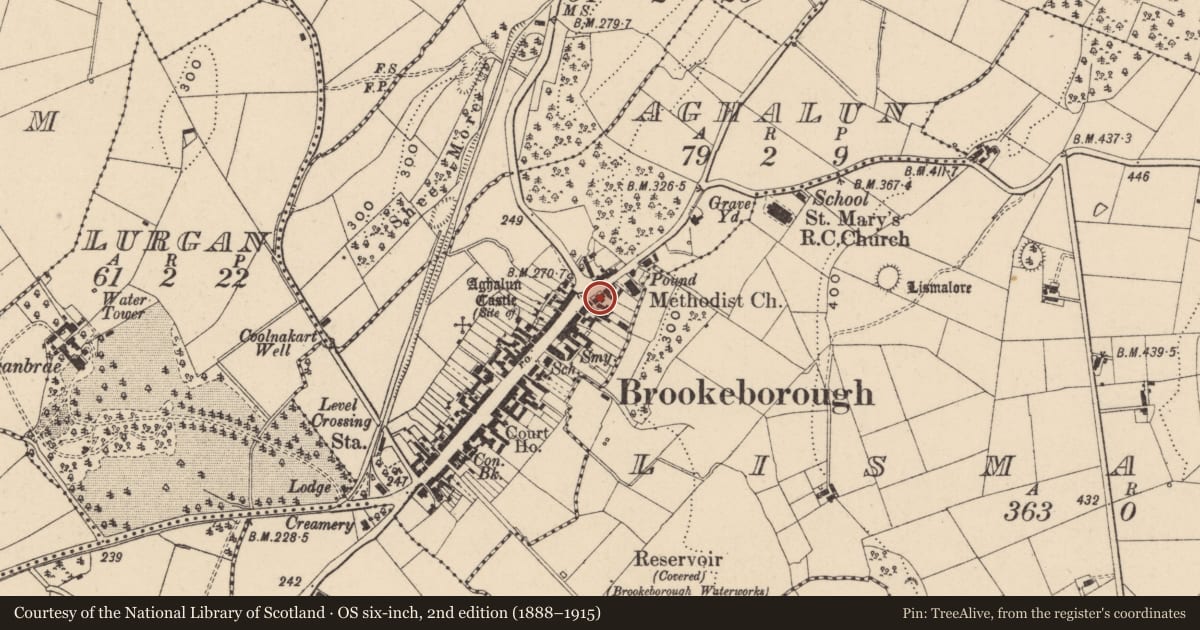 Ordnance Survey six-inch map, 2nd edition (1888–1915) covering the location of Lady Brooke Memorial Hall, Fermanagh and Omagh, with a pin at the register's coordinates