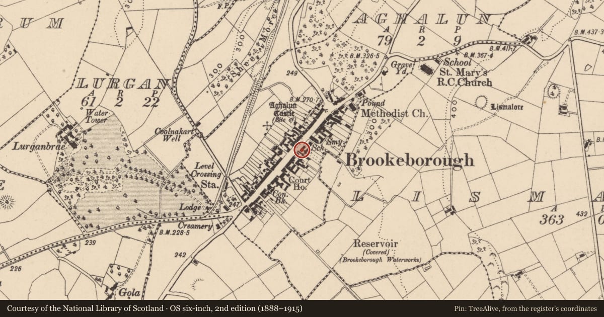 Ordnance Survey six-inch map, 2nd edition (1888–1915) covering the location of 49 Main St., Fermanagh and Omagh, with a pin at the register's coordinates