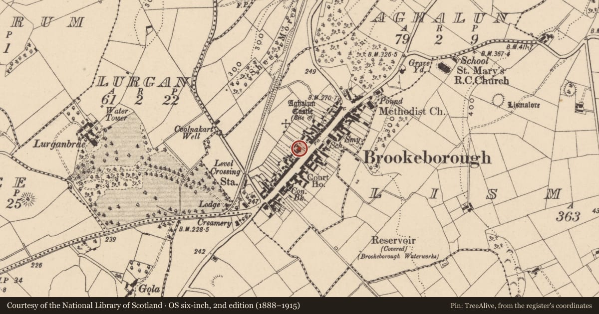 Ordnance Survey six-inch map, 2nd edition (1888–1915) covering the location of BROOKMOUNT, Fermanagh and Omagh, with a pin at the register's coordinates