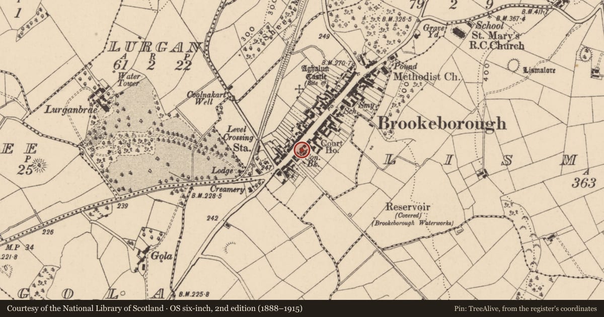 Ordnance Survey six-inch map, 2nd edition (1888–1915) covering the location of 23 Main St., Fermanagh and Omagh, with a pin at the register's coordinates