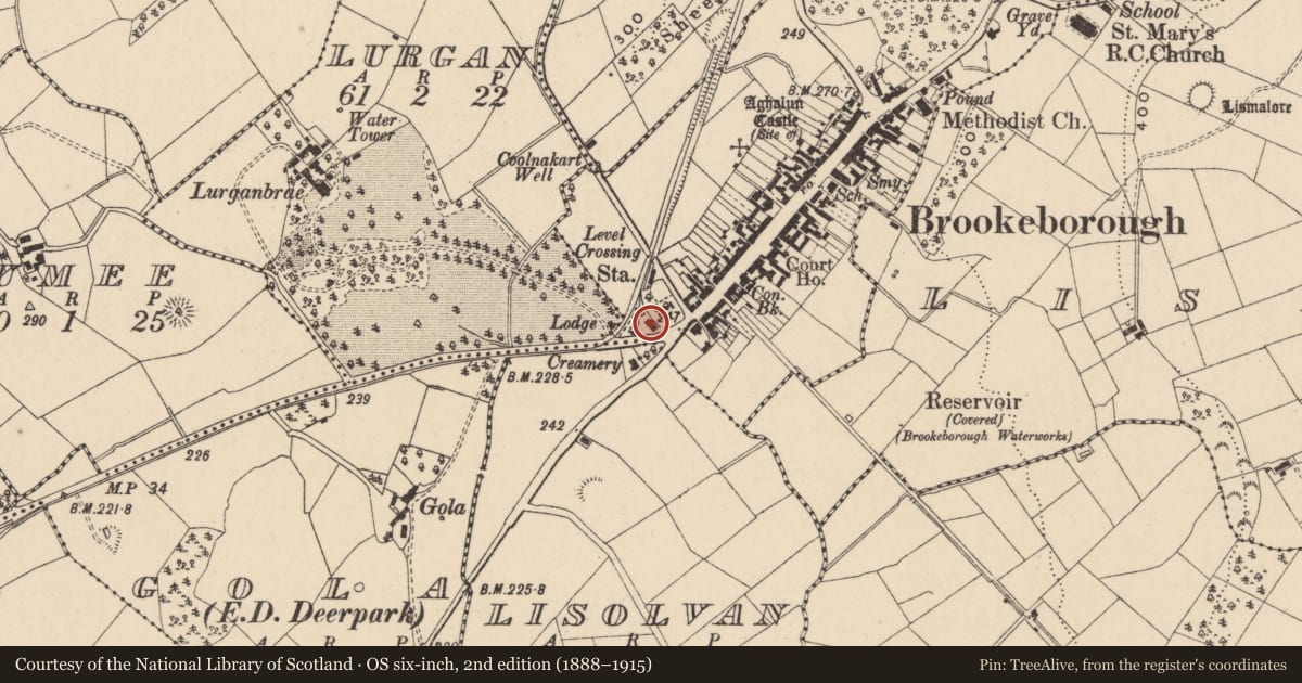Ordnance Survey six-inch map, 2nd edition (1888–1915) covering the location of Goods Shed, Fermanagh and Omagh, with a pin at the register's coordinates