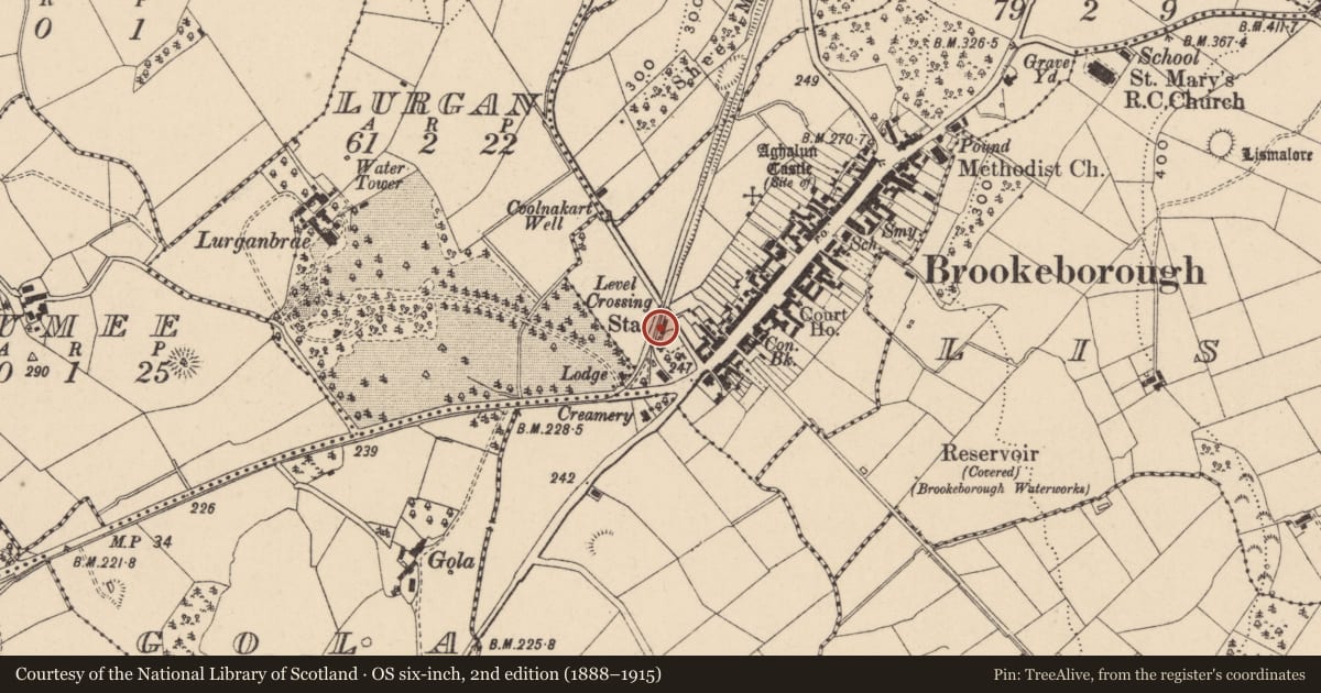 Ordnance Survey six-inch map, 2nd edition (1888–1915) covering the location of Railway Station Platform, Fermanagh and Omagh, with a pin at the register's coordinates
