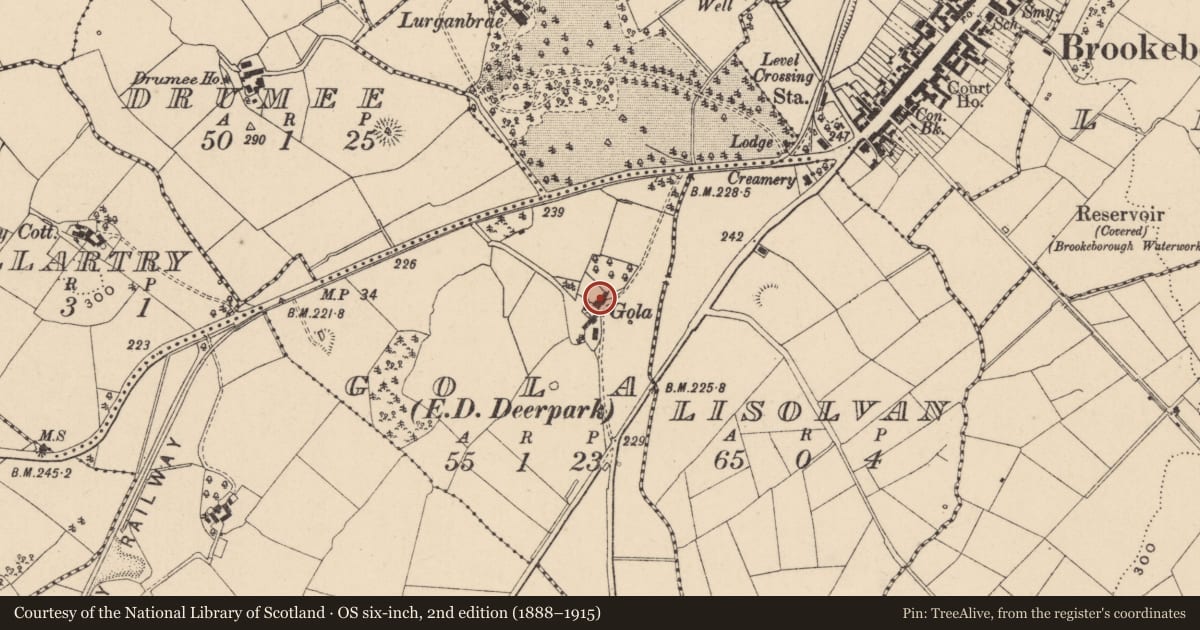 Ordnance Survey six-inch map, 2nd edition (1888–1915) covering the location of GOLA, Fermanagh and Omagh, with a pin at the register's coordinates