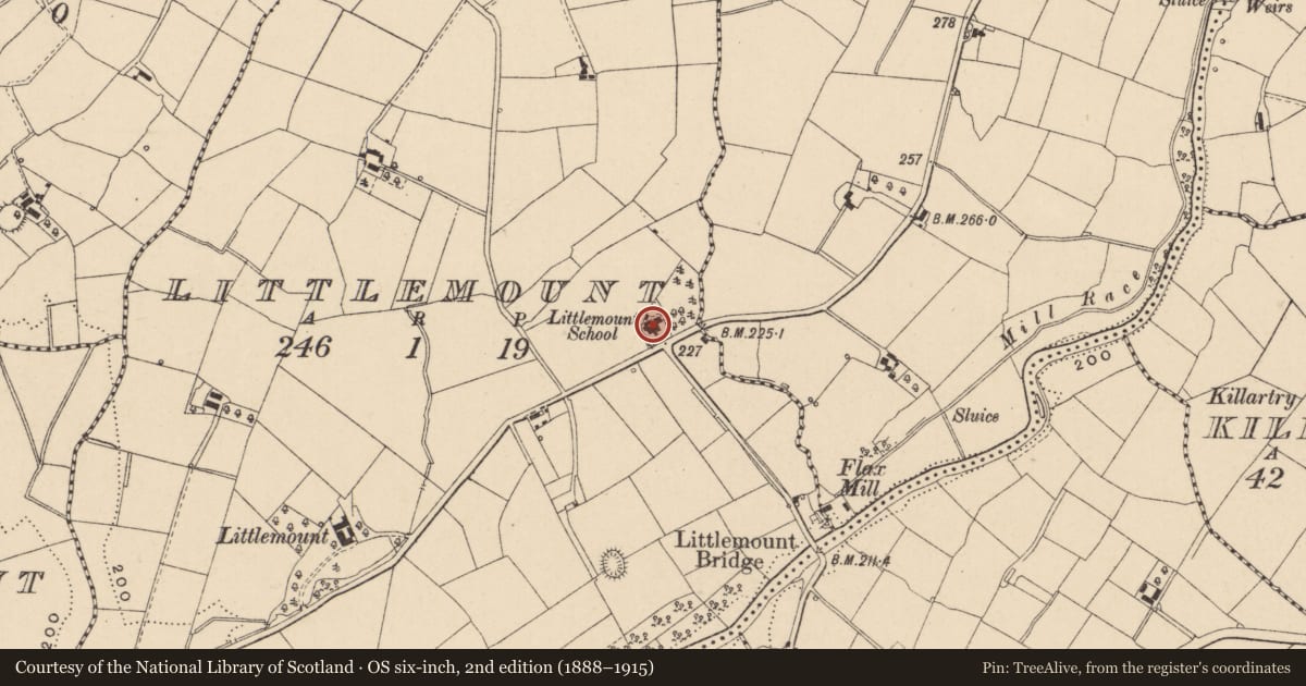 Ordnance Survey six-inch map, 2nd edition (1888–1915) covering the location of Littlemount School And House, Fermanagh and Omagh, with a pin at the register's coordinates