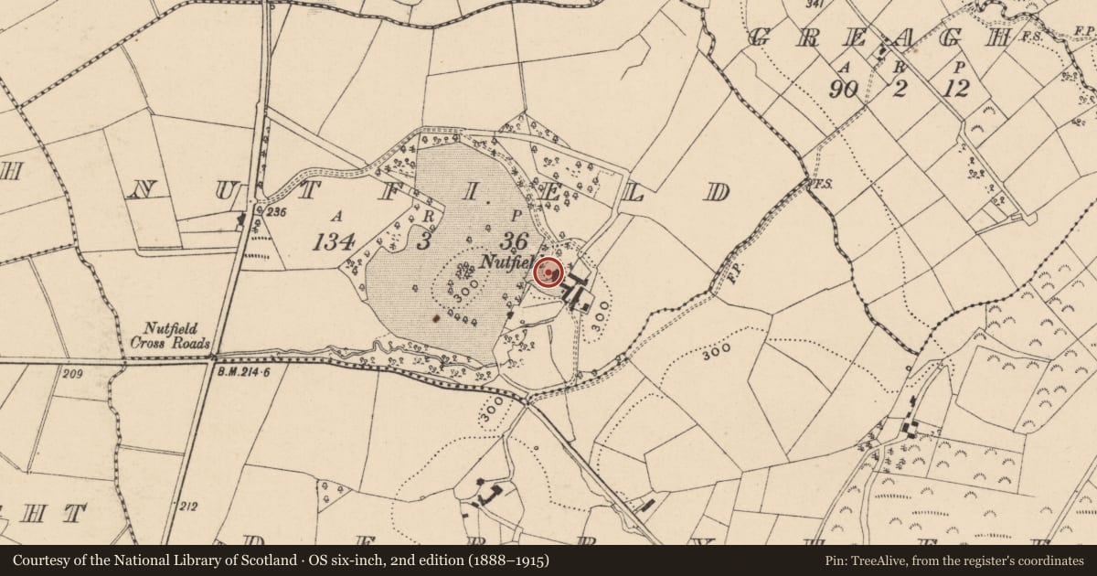 Ordnance Survey six-inch map, 2nd edition (1888–1915) covering the location of NUTFIELD, Fermanagh and Omagh, with a pin at the register's coordinates