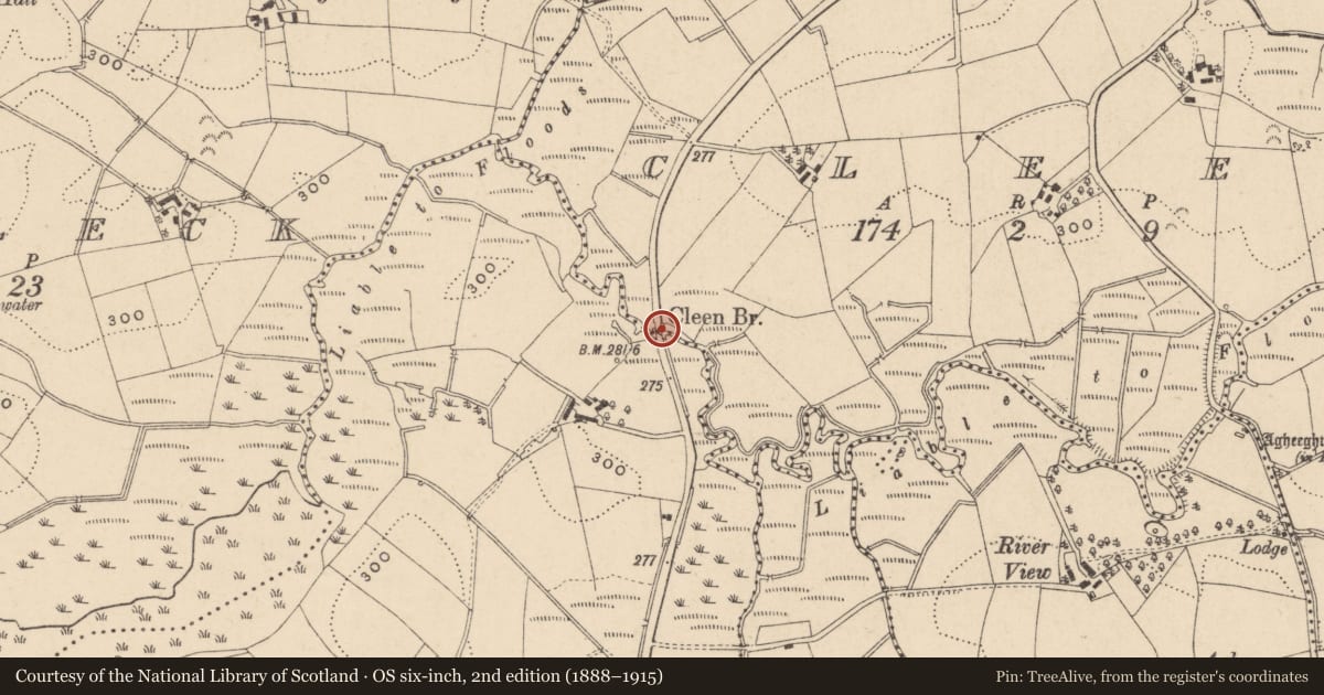 Ordnance Survey six-inch map, 2nd edition (1888–1915) covering the location of Cleen Bridge, Fermanagh and Omagh, with a pin at the register's coordinates