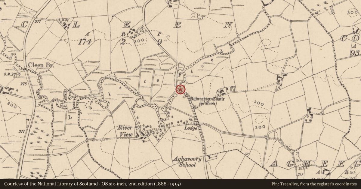 Ordnance Survey six-inch map, 2nd edition (1888–1915) covering the location of BRIDGE, Fermanagh and Omagh, with a pin at the register's coordinates