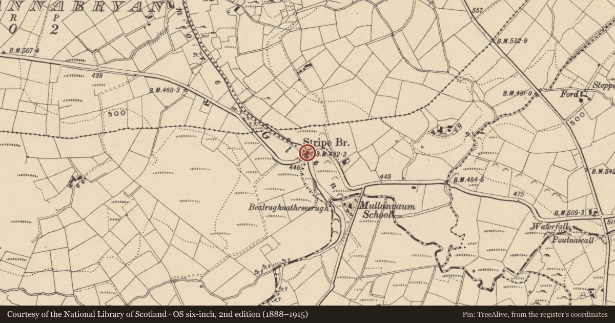 Ordnance Survey six-inch map, 2nd edition (1888–1915) covering the location of Stripe Bridge, Fermanagh and Omagh, with a pin at the register's coordinates