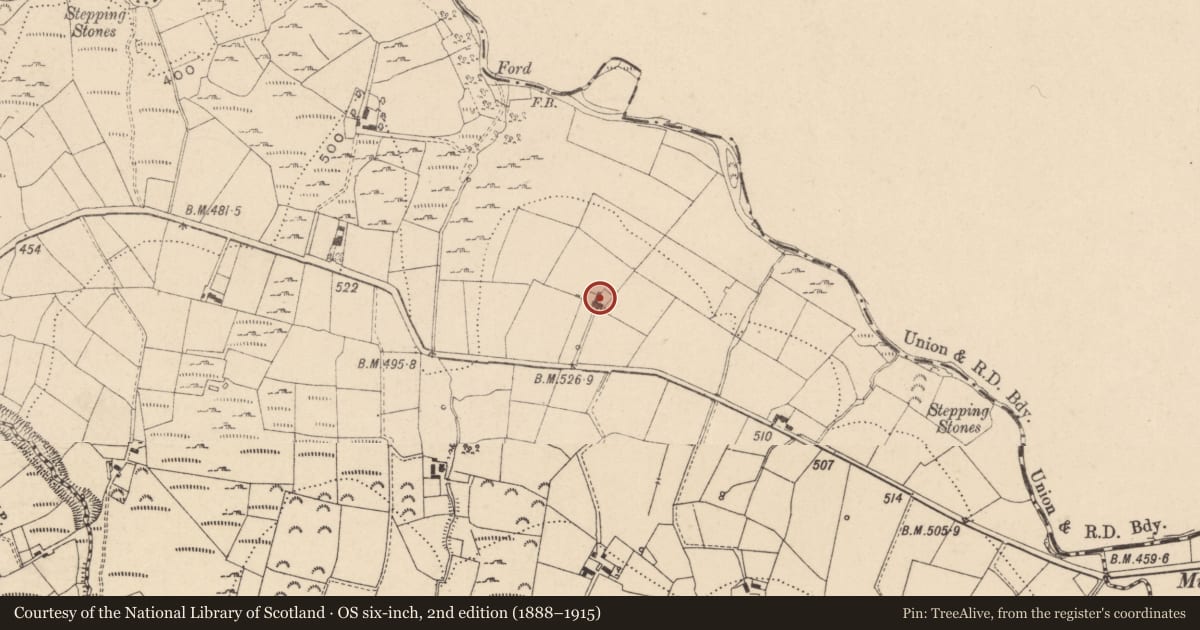 Ordnance Survey six-inch map, 2nd edition (1888–1915) covering the location of The Ghost House, Cornarooslan, Fermanagh and Omagh, with a pin at the register's coordinates