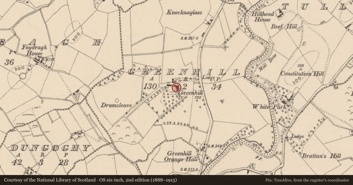 Ordnance Survey six-inch map, 2nd edition (1888–1915) covering the location of Greenhill House, Fermanagh and Omagh, with a pin at the register's coordinates