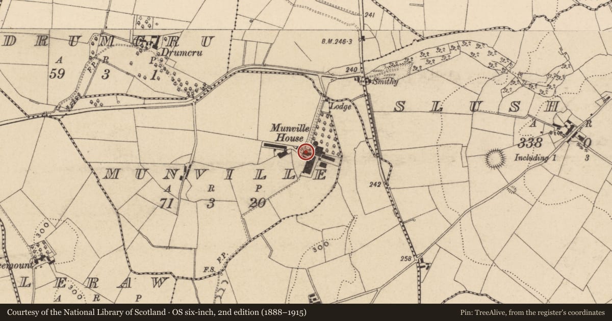 Ordnance Survey six-inch map, 2nd edition (1888–1915) covering the location of Munville House, Fermanagh and Omagh, with a pin at the register's coordinates