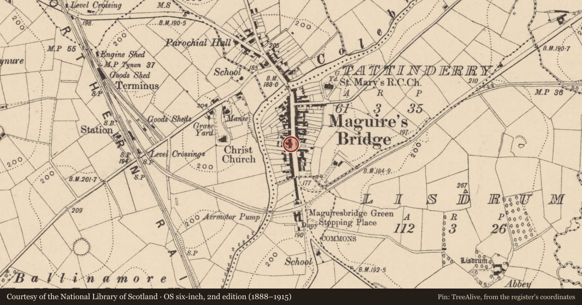 Ordnance Survey six-inch map, 2nd edition (1888–1915) covering the location of Smyth'S Bar, Fermanagh and Omagh, with a pin at the register's coordinates
