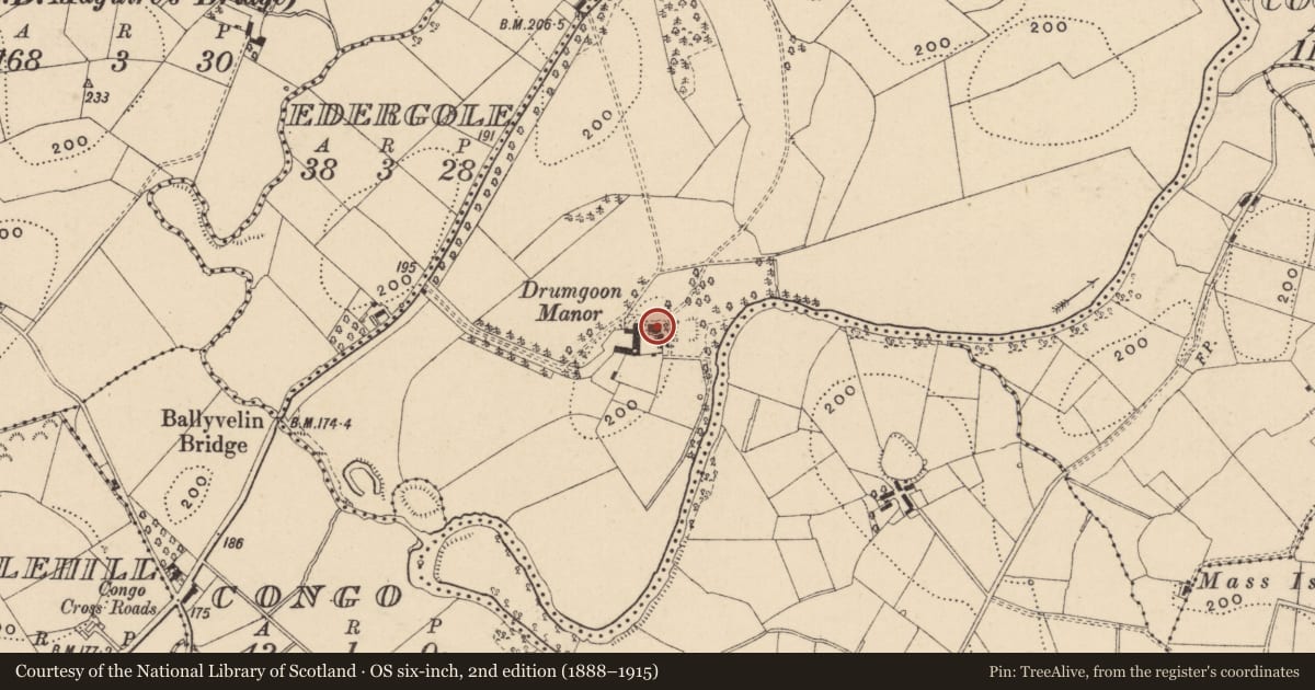 Ordnance Survey six-inch map, 2nd edition (1888–1915) covering the location of Drumgoon Manor, Fermanagh and Omagh, with a pin at the register's coordinates