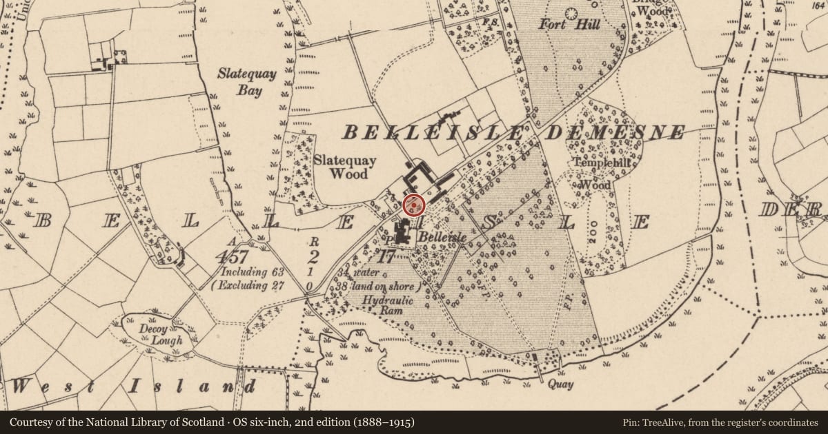Ordnance Survey six-inch map, 2nd edition (1888–1915) covering the location of Belleisle House, Fermanagh and Omagh, with a pin at the register's coordinates