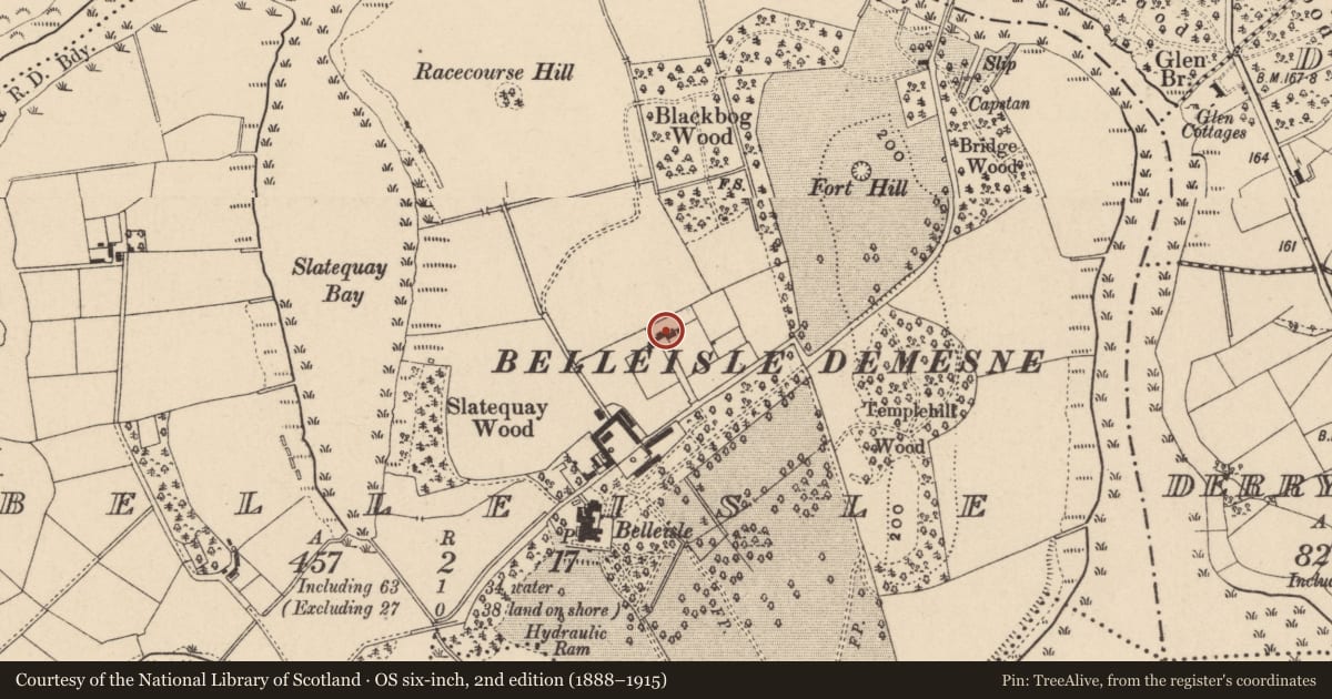 Ordnance Survey six-inch map, 2nd edition (1888–1915) covering the location of Garden Cottage, Fermanagh and Omagh, with a pin at the register's coordinates
