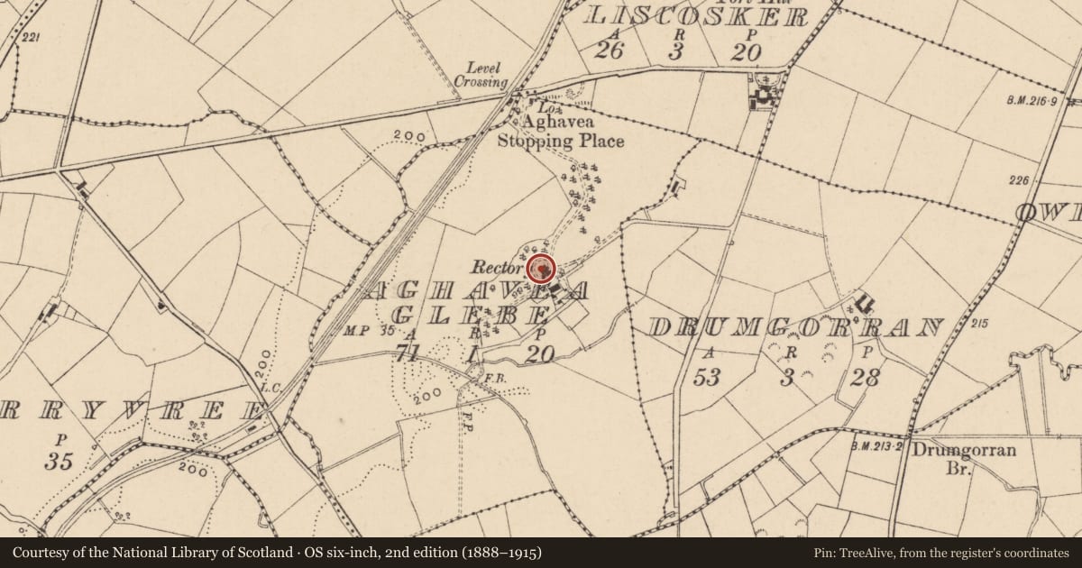 Ordnance Survey six-inch map, 2nd edition (1888–1915) covering the location of Aghavea Old Rectory, Fermanagh and Omagh, with a pin at the register's coordinates