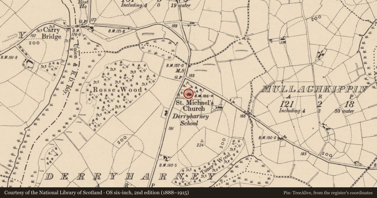 Ordnance Survey six-inch map, 2nd edition (1888–1915) covering the location of St. Michael'S Church, Fermanagh and Omagh, with a pin at the register's coordinates