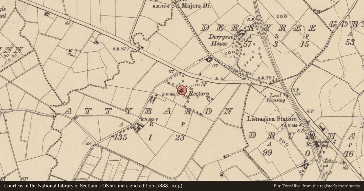 Ordnance Survey six-inch map, 2nd edition (1888–1915) covering the location of Old Rectory, Fermanagh and Omagh, with a pin at the register's coordinates