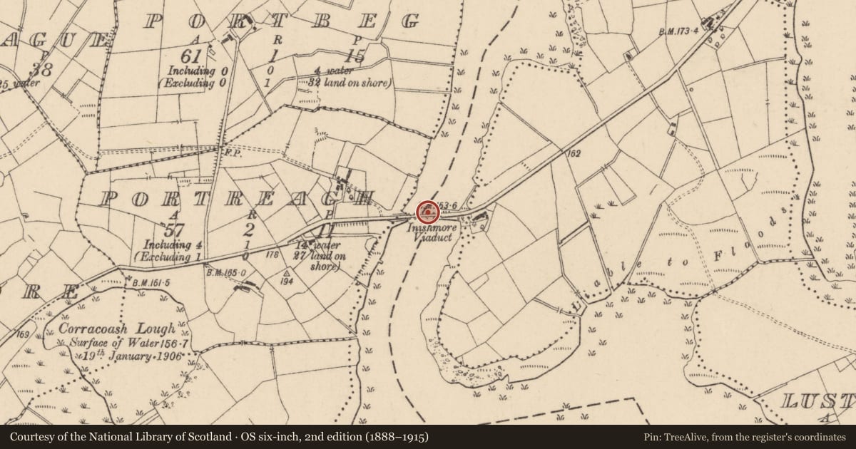 Ordnance Survey six-inch map, 2nd edition (1888–1915) covering the location of Inishmore Viaduct, Fermanagh and Omagh, with a pin at the register's coordinates