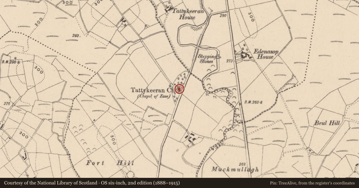 Ordnance Survey six-inch map, 2nd edition (1888–1915) covering the location of Former Tattykeeran C OF I CHURCH, Fermanagh and Omagh, with a pin at the register's coordinates