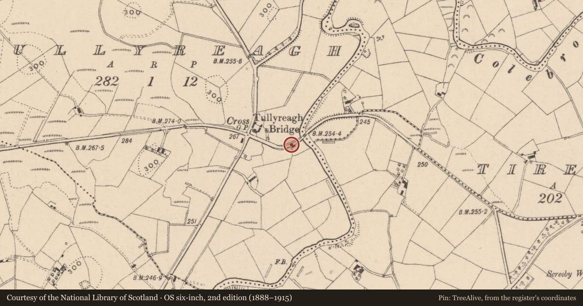 Ordnance Survey six-inch map, 2nd edition (1888–1915) covering the location of 135 Tullyreagh Road, Fermanagh and Omagh, with a pin at the register's coordinates