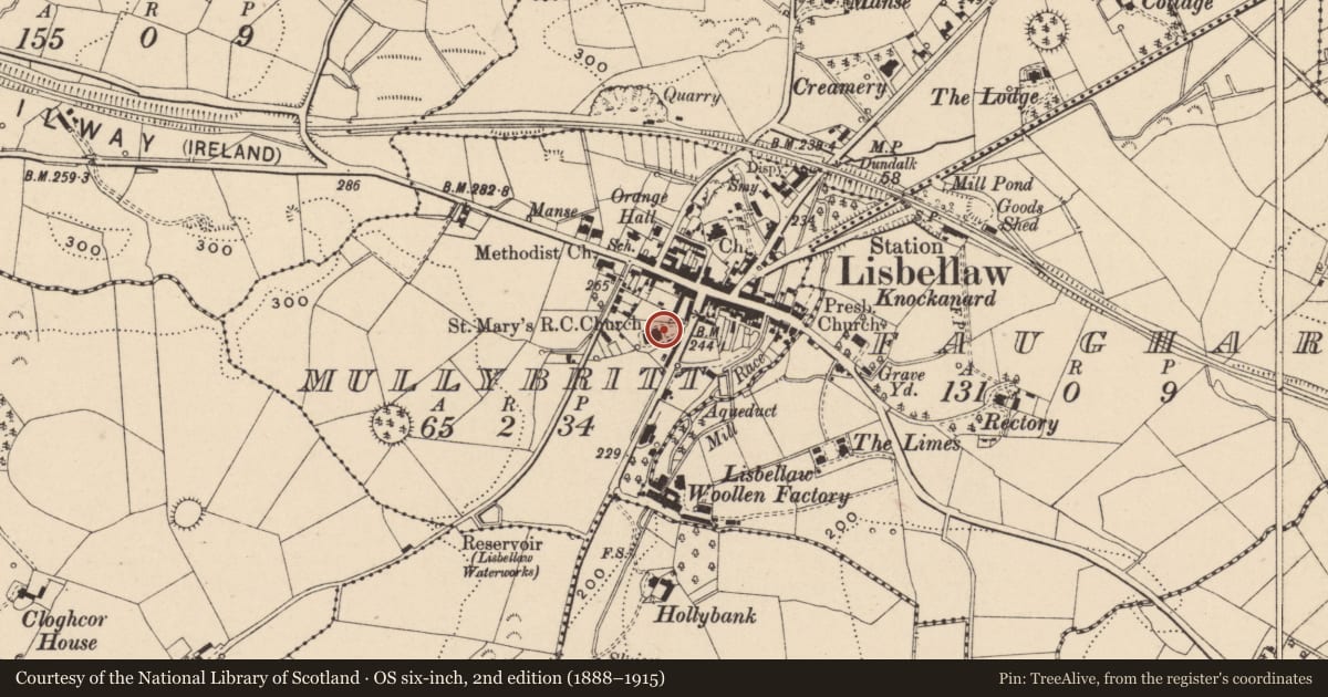 Ordnance Survey six-inch map, 2nd edition (1888–1915) covering the location of St. Mary'S Rc Church, Mullybritt, Fermanagh and Omagh, with a pin at the register's coordinates