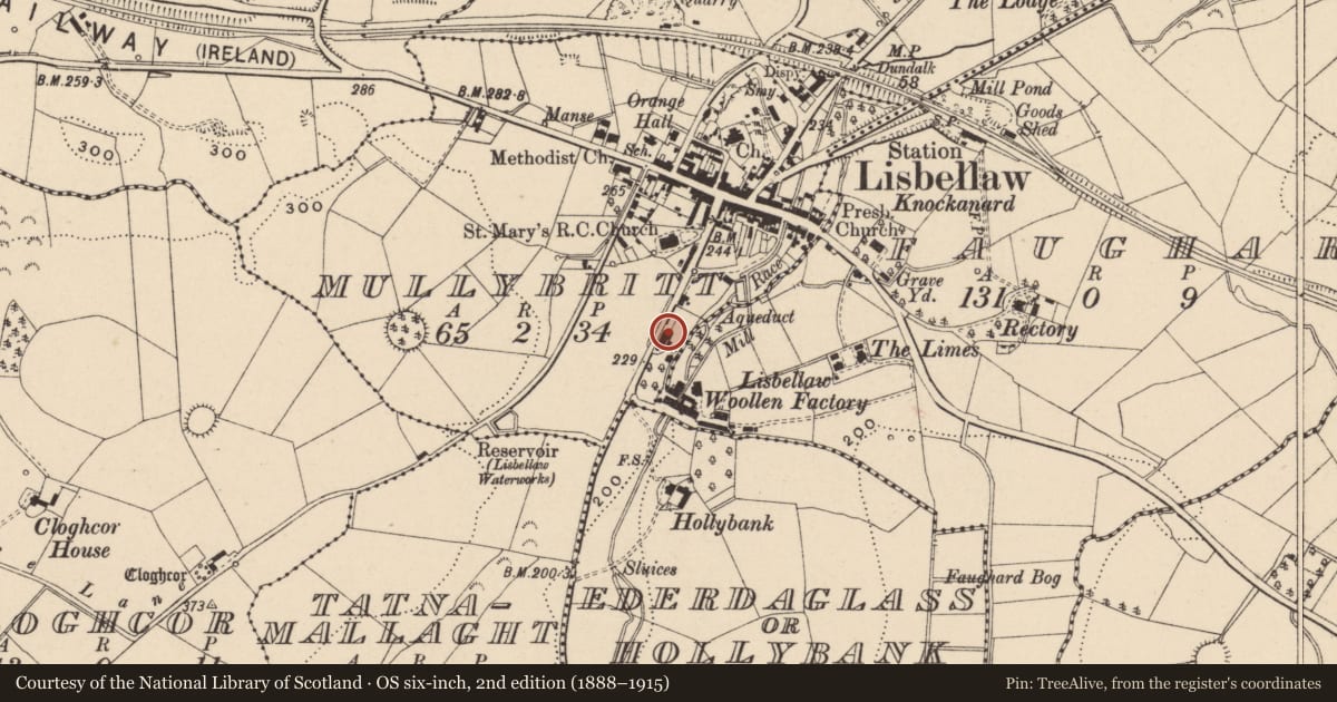 Ordnance Survey six-inch map, 2nd edition (1888–1915) covering the location of INAN, Mullybritt, Fermanagh and Omagh, with a pin at the register's coordinates