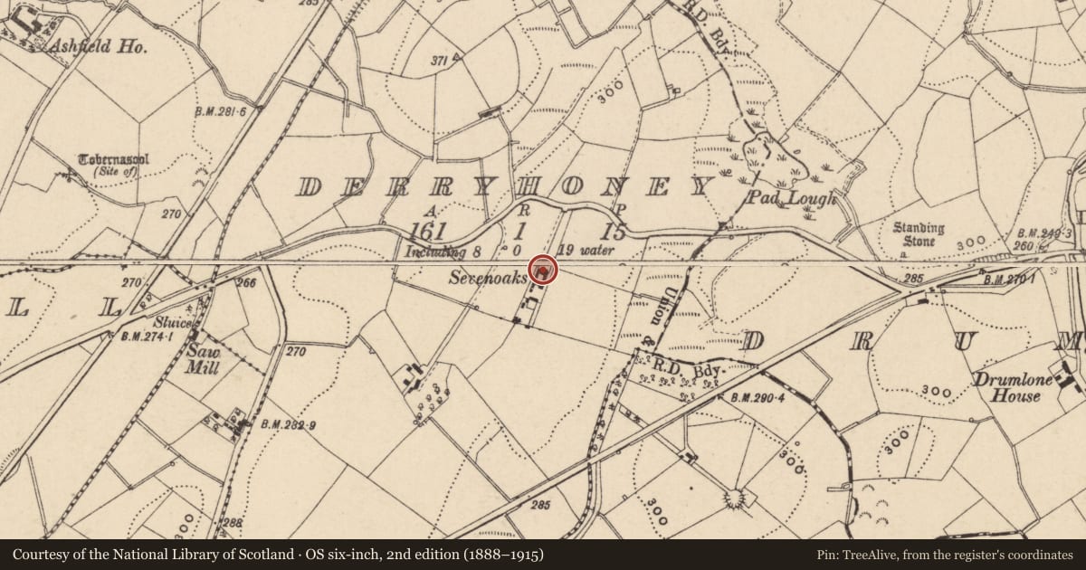 Ordnance Survey six-inch map, 2nd edition (1888–1915) covering the location of SEVENOAKS, Derryhoney, Fermanagh and Omagh, with a pin at the register's coordinates