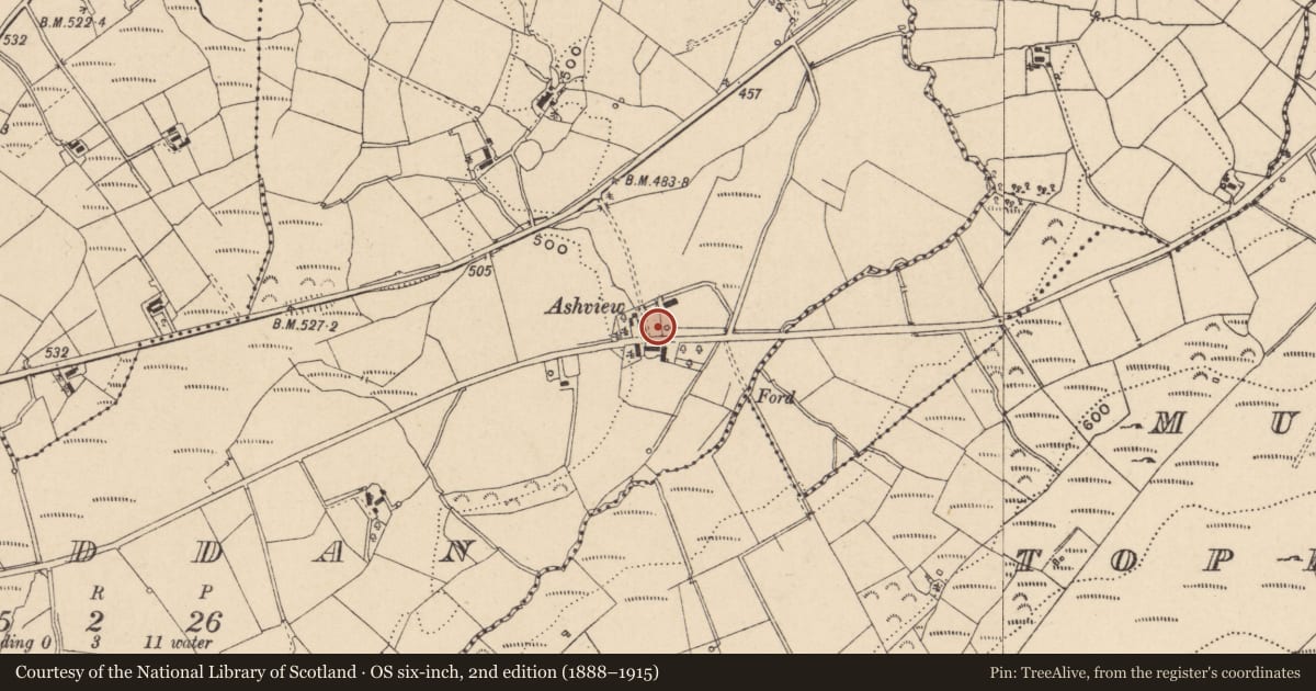 Ordnance Survey six-inch map, 2nd edition (1888–1915) covering the location of ASHVIEW, Feddan, Fermanagh and Omagh, with a pin at the register's coordinates