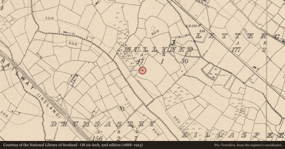 Ordnance Survey six-inch map, 2nd edition (1888–1915) covering the location of South East Gate Lodge, Thomastown, Fermanagh and Omagh, with a pin at the register's coordinates