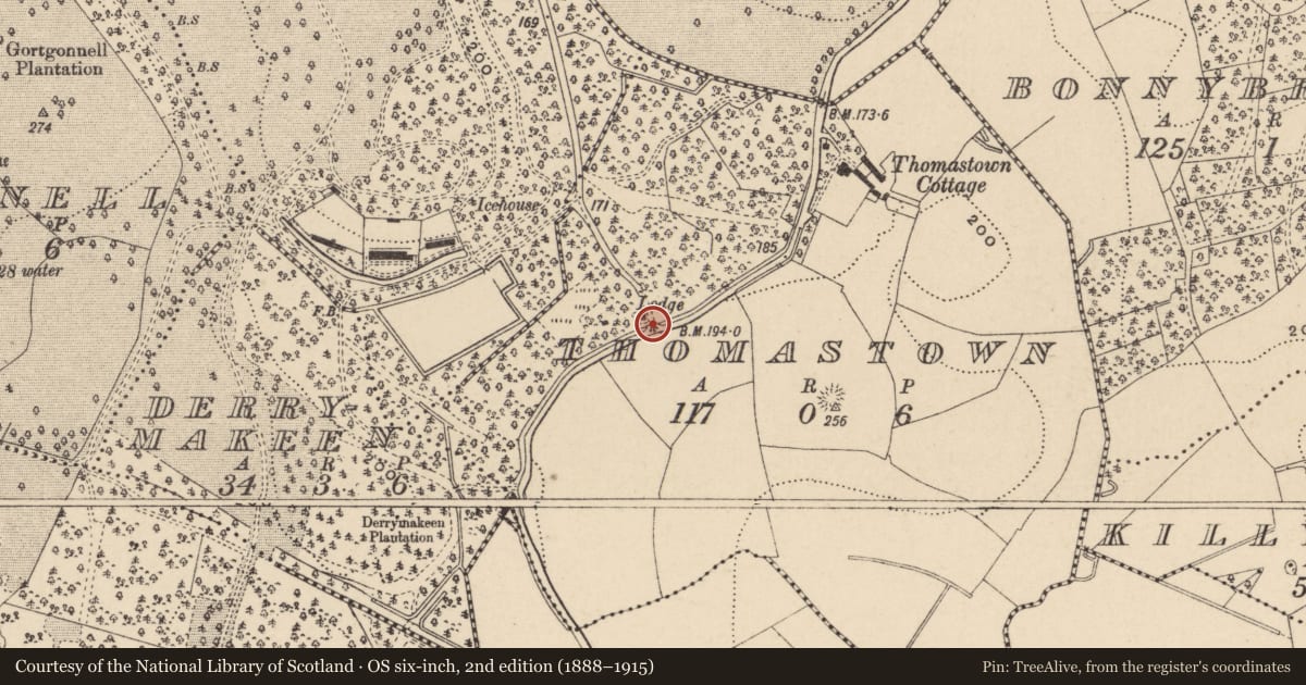 Ordnance Survey six-inch map, 2nd edition (1888–1915) covering the location of South East Entrance Gates, Thomastown, Fermanagh and Omagh, with a pin at the register's coordinates