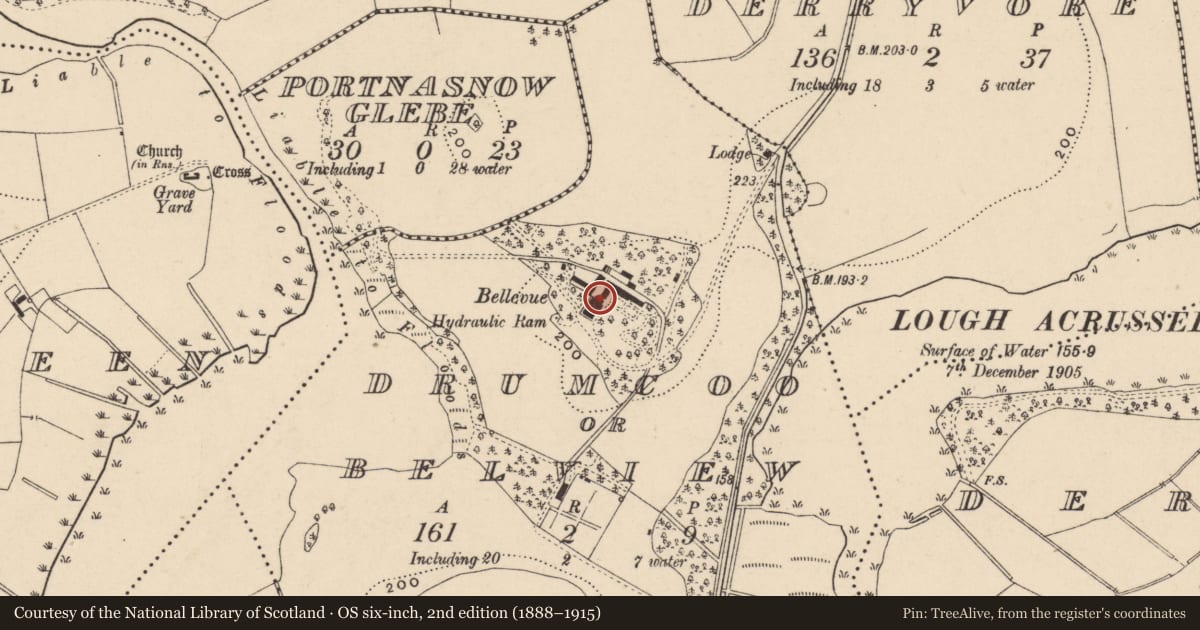 Ordnance Survey six-inch map, 2nd edition (1888–1915) covering the location of BELLEVUE, Drumcoo or Belview, Fermanagh and Omagh, with a pin at the register's coordinates