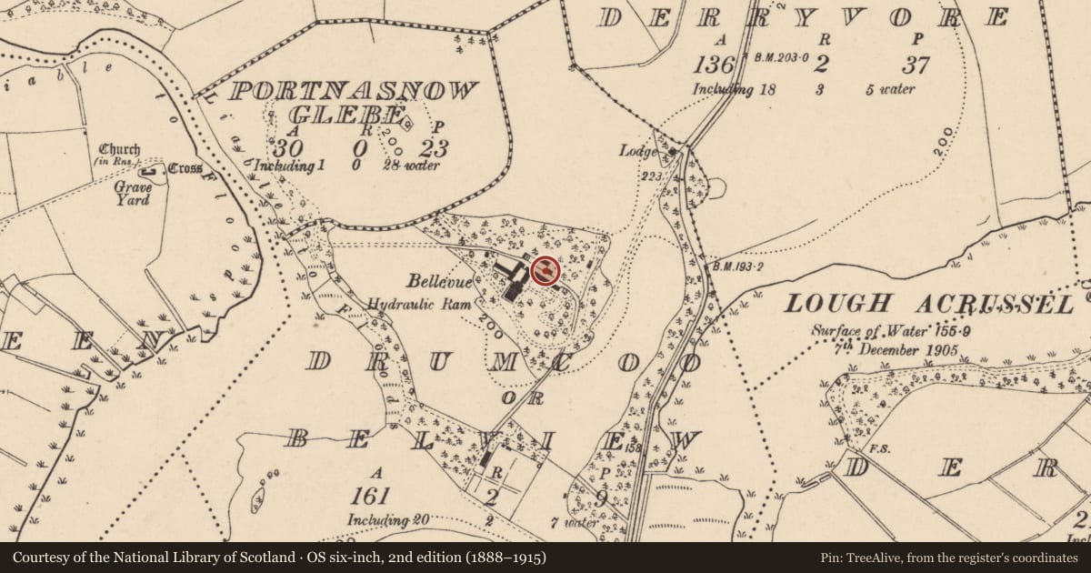 Ordnance Survey six-inch map, 2nd edition (1888–1915) covering the location of Glass House At Bellevue, Fermanagh and Omagh, with a pin at the register's coordinates