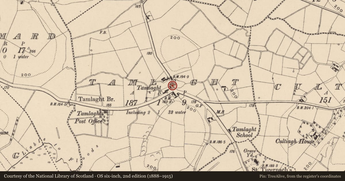 Ordnance Survey six-inch map, 2nd edition (1888–1915) covering the location of 'Eskra', Tamlaght, Fermanagh and Omagh, with a pin at the register's coordinates
