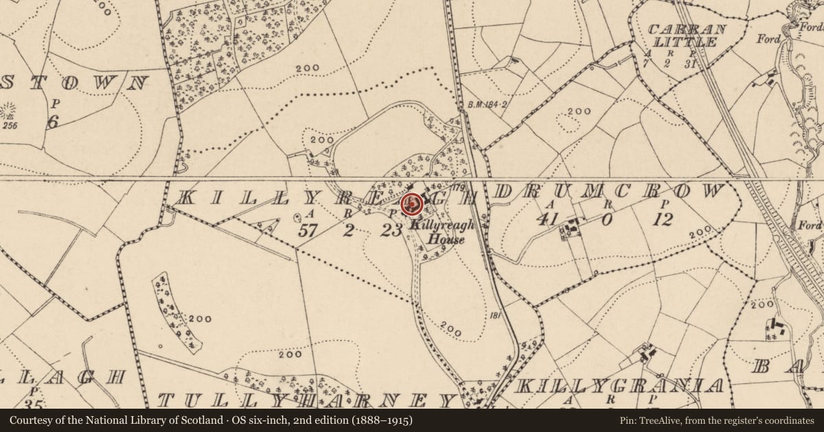 Ordnance Survey six-inch map, 2nd edition (1888–1915) covering the location of Killyreagh House, Fermanagh and Omagh, with a pin at the register's coordinates