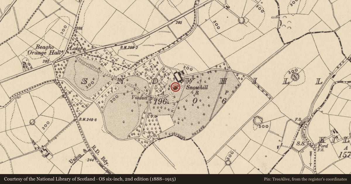 Ordnance Survey six-inch map, 2nd edition (1888–1915) covering the location of Snowhill House, Fermanagh and Omagh, with a pin at the register's coordinates