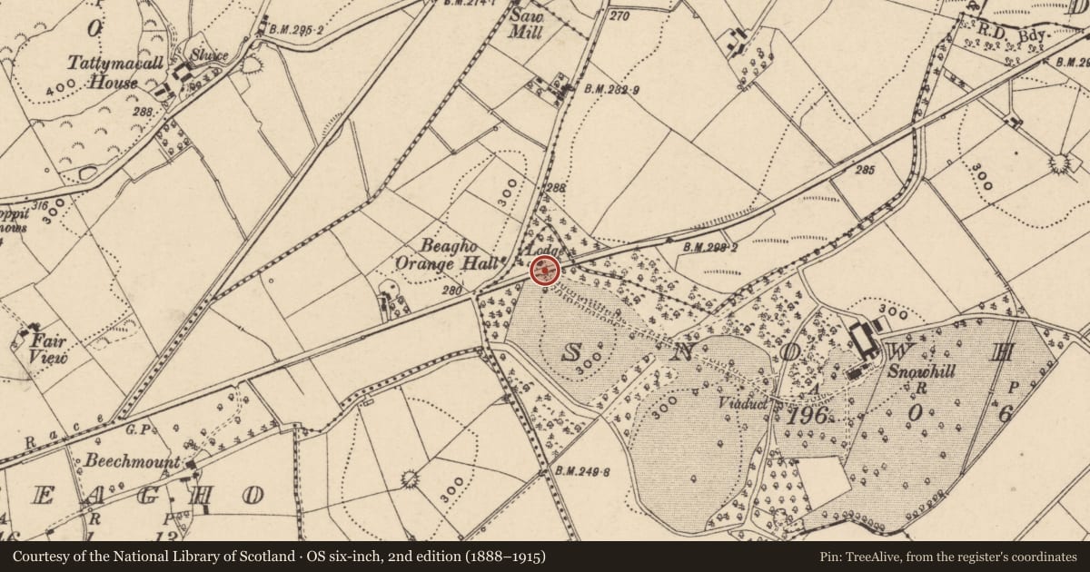 Ordnance Survey six-inch map, 2nd edition (1888–1915) covering the location of Gate Screen At Snowhill House, Fermanagh and Omagh, with a pin at the register's coordinates