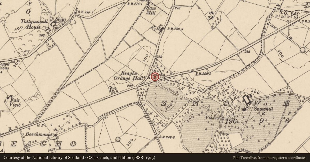 Ordnance Survey six-inch map, 2nd edition (1888–1915) covering the location of Gate Lodge At Snowhill, Fermanagh and Omagh, with a pin at the register's coordinates