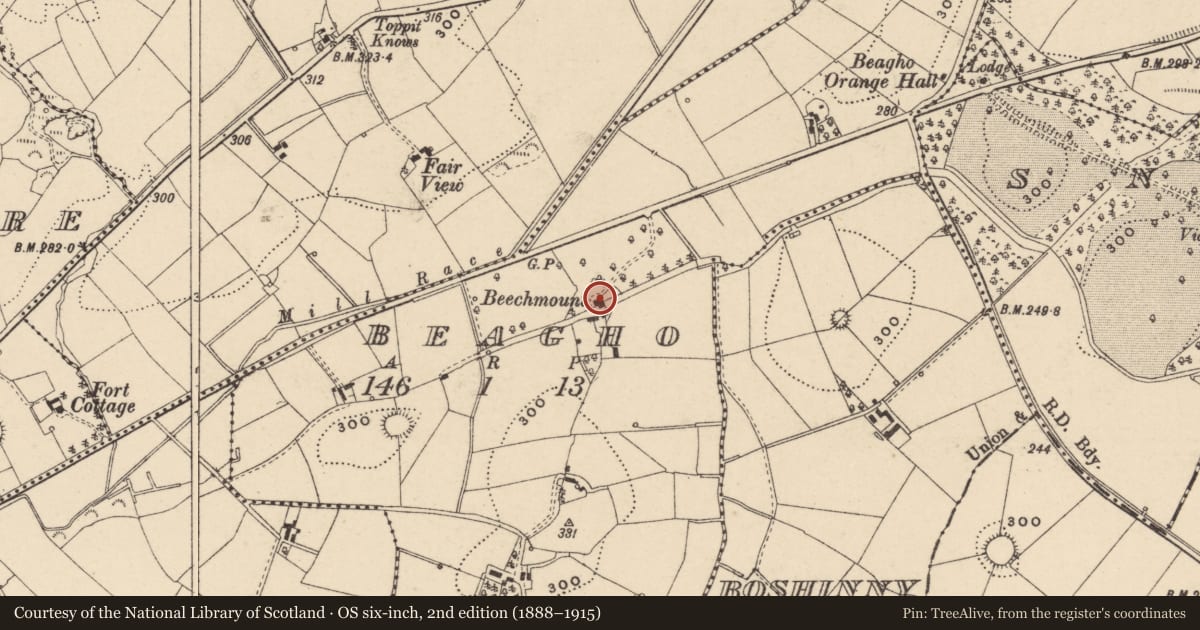 Ordnance Survey six-inch map, 2nd edition (1888–1915) covering the location of BEECHMOUNT, Beagho, Fermanagh and Omagh, with a pin at the register's coordinates