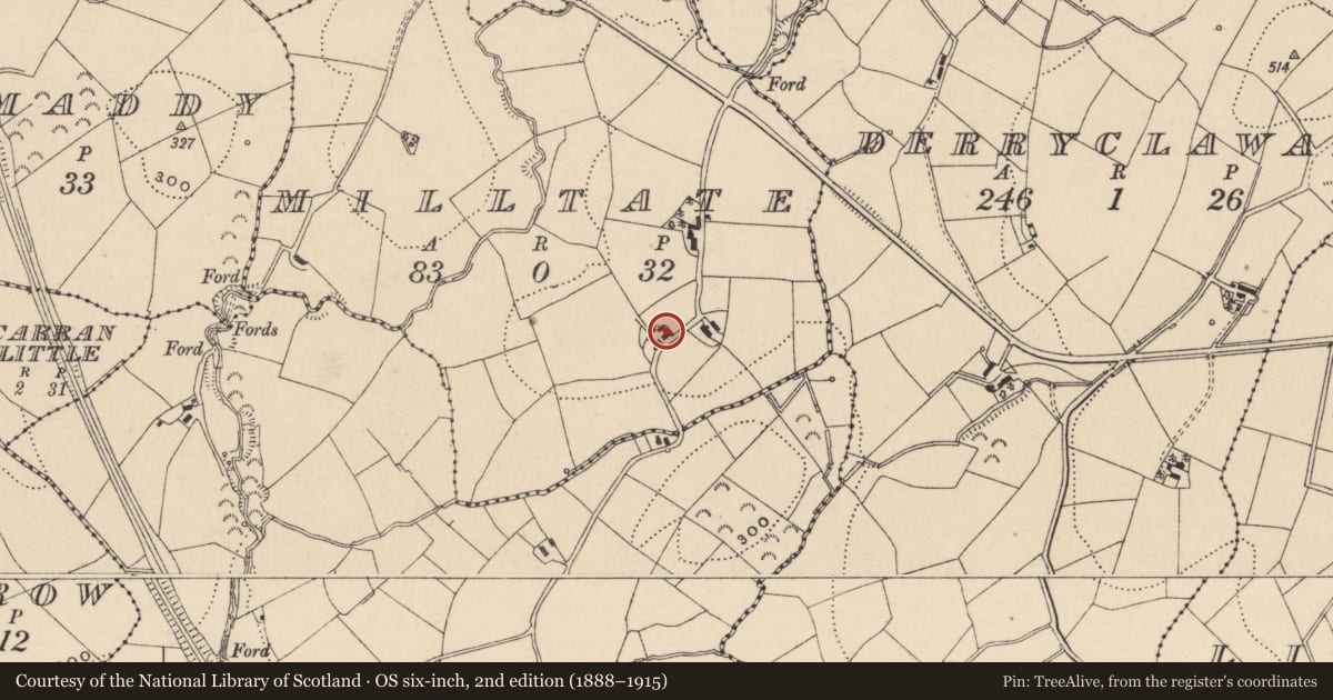 Ordnance Survey six-inch map, 2nd edition (1888–1915) covering the location of Tin Vernacular Building, Milltate, Fermanagh and Omagh, with a pin at the register's coordinates