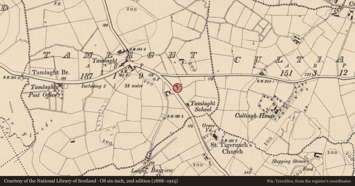 Ordnance Survey six-inch map, 2nd edition (1888–1915) covering the location of Milestone 3 Mile, Tamlaght, with a pin at the register's coordinates